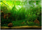 Zerodis PVC Aquarium Background Poster,Water Grass PVC Adhesive Static Aquarium Wallpaper Background(91 * 41cm)...
