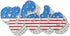 Madison Tyler Americana Brooches Pins | Silver Plated Brooch for Women | Fashion Vote Letter Brooch Pins for Women | 2024 Presidential Election Co...