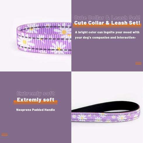 Reflective Dog Collar Leash Combo: Puppy Small Medium Large Adjustable Cute Matching Collar Set for Pet Girl/Boy Comfy Easy Walk Running Outdoor H...