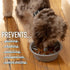 Leashboss Slow Feeder Dog Bowls - Cup Maze Puzzle Food Bowl with Feeder Holes, Fits into Elevated Pet Feeders - Slow Eating for Large, Medium & Sm...