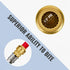 SUNGATOR Straight Connector Plumbing Fitting, Male Adapter 1/2 Inch by 1/2 Inch Push Fit PEX Fittings with Disconnect Clip, Push-to-Connect Copper...