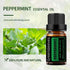 GREENSLEEVES Peppermint Essential Oil, 10ml Pure Plant-Based Fragrance Oil for Aromatherapy, Essential Oils for Diffuser, Air Freshener, Massage, ...