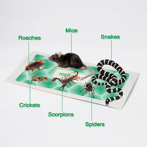 10 PCS Large Glue Trap Strips for Trapping Insects, Mice, Spiders, Bugs, Crickets, Scorpions, Roaches, Super Sticky & Non-Toxic Glue Boards Pre-Ba...