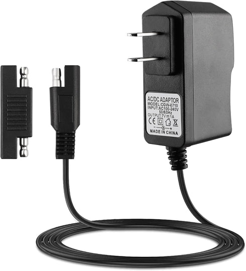 SAE Connector Charger for Kids Ride On Car Battery, BXIZXD 6 Volt Battery Charger for Disney Quad Pacific Cycle Marvel The Avenger Good Dinosaur P...