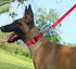 MayPaw Service Dog Collar, 1” and 1.5” Wide Dog Collar Strong Nylon Medium Large Extra-Large Dog Collar (Neck Fit 17.5-27",1.5" Wide, red)...