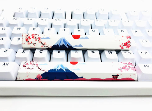 Novelty Spacebar Artisan Keycap PBT Dye Subbed 6.25u 6.5u Custom Keycaps Cherry Profile for Standard ANSI Cherry MX Mechanical Gaming Keyboards (6...