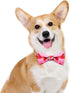 azuza Dog Collar Bow tie, Lovely Pink Dog Collars with Bowtie for Small Dogs...