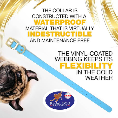 Regal Dog Products Small Light Blue Waterproof Dog Collar with Gold Buckle, Resilient and Durable Materials, Comfortable Design - for Small, Mediu...