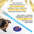 Regal Dog Products Small Light Blue Waterproof Dog Collar with Gold Buckle, Resilient and Durable Materials, Comfortable Design - for Small, Mediu...