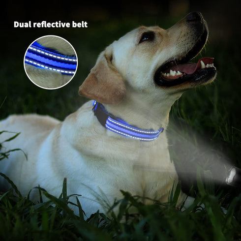 Led Dog Collar 1000 ft Night Visibility LED Dog Leash - Padded Double Traffic Handle |10hr Battery Life, USB-C Quick Charging Light Up Reflective ...