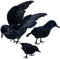 3-Pack Halloween Black Feathered Crow Realistic Handmade Crow Prop for Halloween Party Outdoors and Indoors Decoration...