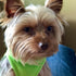 Gooby Stretch Fleece Vest Dog Sweater - Grass Green, Medium - Warm Pullover Fleece Dog Jacket - Winter Dog Clothes for Small Dogs Boy - Dog Sweate...