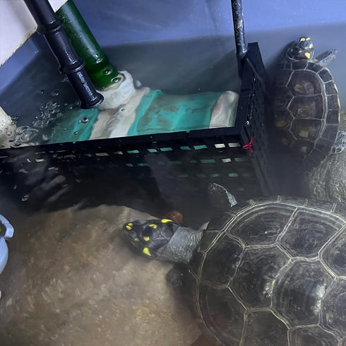 4PCS Fish Tank Dividers Lid, Aquarium Grid Bottom Isolation Tray Board, Plastic Egg Crate...