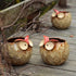 GeLive Owl Planter Ceramic Succulent Plant Pot Fun Animal Flower Container Decoration Tabletop Decor Windowsill Box with Drainage Hole (Round Owl ...