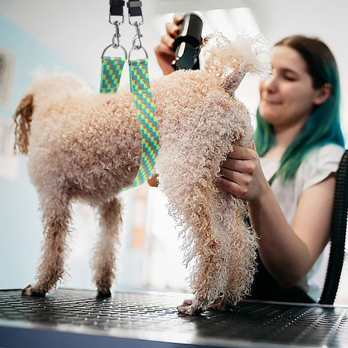 Pet Dog Grooming Arm Accessories - Pet Dog Grooming Belly Straps with Connector Pet Dog Grooming Loops Dog Loop Nylon Restraint Noose Adjustable F...