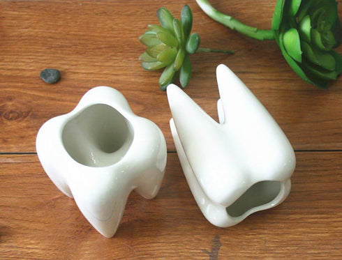 Ceramic Tooth Shaped Pen Pencil Toothbrush Holder Pot Succulent Plant Pot Home Office School Dentists Gift Ideal Gifts for Women, Mom or Birthdays...