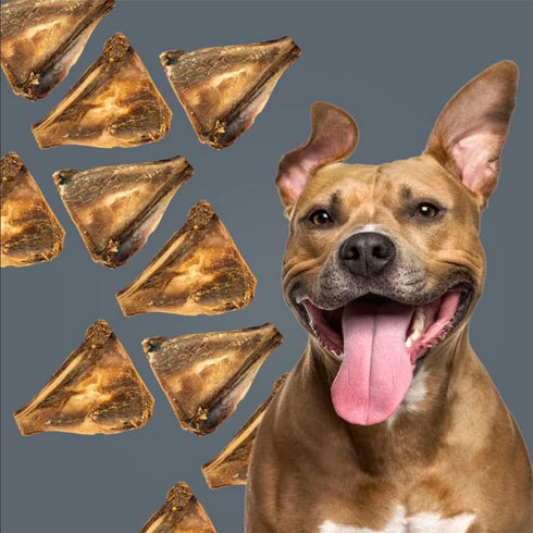 ROAM Pet Treats Bucky Chucky – Grasslands Venison Dog Bone, Single Ingredient, All Natural, Grain-Free, & Gluten-Free...
