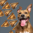 ROAM Pet Treats Bucky Chucky – Grasslands Venison Dog Bone, Single Ingredient, All Natural, Grain-Free, & Gluten-Free...