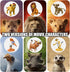 12-Pc Mini Animal Action Figures, Collectible Toys for Kids, Perfect for Cake Toppers & Desktop Decorations...