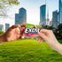 EXTRA Watermelon Sugar Free Chewing Gum, 15 ct (3 Pack)...