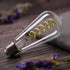 Dimmable Vintage LED Edison Bulbs, 6W, Equivalent 60W, 600lm, Daylight 5000K,ST58 Antique LED Filament Bulbs, E26 Medium Base, Clear Glass, Pack o...
