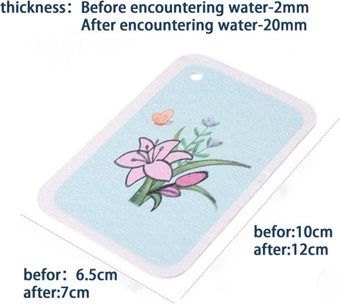 6 Pcs Compressed Sponges Non-Scratch Cellulose Sponges Flat Sponges That Expand in Water for Kitchen Bathroom Cars Facial Cleansing Crafts...