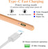 Capacitive Stylus Pens for Touch Screens Rechargeable iPhone Stylus High Sensitivity & Precision Pom Tip,Stylus Pen for iPhone/iPad/Pro/Air/Mini/S...