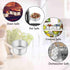 TeamFar 4 Inch Cake Pan, 4 Pcs Mini Cake Pan Round Tier Baking Tins Set Stainless Steel, For Baking Steaming Serving, Healthy & Sturdy, Mirror Fin...