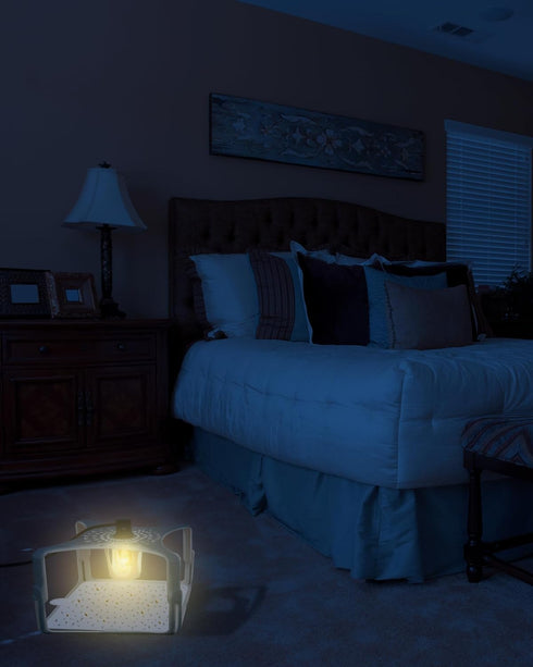 30 Pcs Flea Trap Refill Glue Boards for Terro T230 T231 Indoor Flea Light Traps, 6" Replacement Sticky Pads Fits Square Flea Bed Bug Traps for Ins...