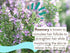 Babo Botanicals Eucalyptus Remedy 2-in-1 Bubble Bath & Wash - Invigorating Eucalyptus, Rosemary & Peppermint - For all ages - EWG Verified - Vegan...