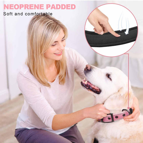 TwoEar Heavy Duty Dog Collar, Comfy Adjustable Soft Neoprene Padded Reflective Pet Collars with Metal Buckle for Small/Medium/Large Dog Breeds(S, ...