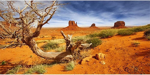 AWERT 24x12 inches Reptile Habitat Background Orange Desert Terrarium Background Durable Polyester Background...
