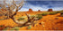 AWERT 24x12 inches Reptile Habitat Background Orange Desert Terrarium Background Durable Polyester Background...