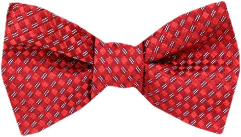 Men's Red Burgundy Silk Self Tie Bowtie Tie Yourself Bow Ties...