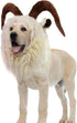 Funny Pet Reindeer Moose Costumes for Dog, Cute Furry Pet Wig for Halloween Christmas, Pet Clothing Accessories (Goat, Size M)...