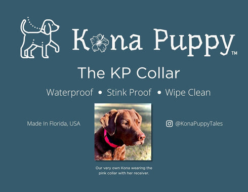 Waterproof E-collar Replacement Strap Dog Collar for Invisible Fence/ecollar - Easy On Bungee (1" Wide, Black)...