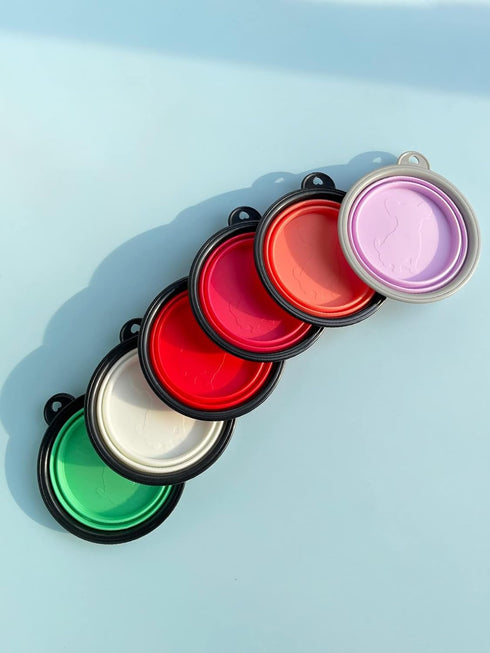 Milumia Pet Collapsible Dog Bowl Foldable Travel Cats Dogs Water Bowl with Carabiner Multicolor Medium...