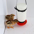 Dnoifne 2 Pack Chicken Hanging Straps for Poultry Farm Chicken Waterer Feeder(Bottle Not Included)...