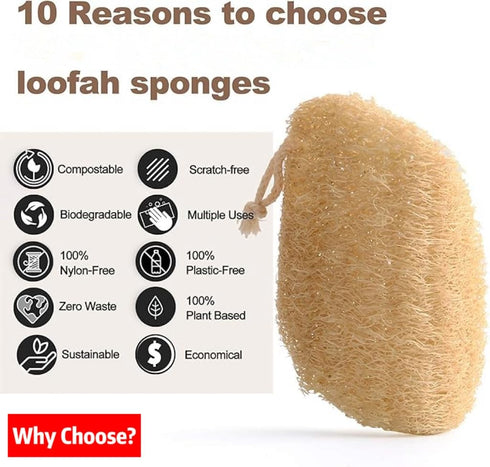 Loofah Sponge Dishwashing Brush,5-Piece Set,Suitable for Kitchen Cleaning dishwashing and Bathroom Cleaning Soft and Natural luffa,100% Plastic-Fr...