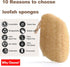 Loofah Sponge Dishwashing Brush,5-Piece Set,Suitable for Kitchen Cleaning dishwashing and Bathroom Cleaning Soft and Natural luffa,100% Plastic-Fr...