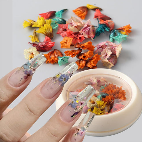 2 Boxes Dried Flower Nail Art Stickers Set Colorful Floral Nail Decals Spring Dry Flower Nail Stickers 3D Real Dried Flowers Nail Designs Stickers...