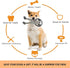 Rope Dog Toys for Small Dogs, Dog Tug of War Toys, Squeaky Dog Toys to Keep Them Busy, Interactive Dog Toys for Aggressive Chewers...