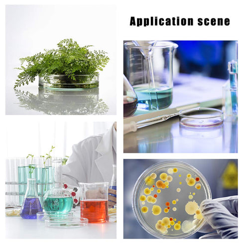 OLYCRAFT 6PCS Glass Petri Dishes High Borosilicate Glass Bacterial Culture Dishes with Lid 60mm Dia x 18mm Deep with 2pcs Glass Culture Plate for ...