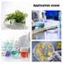 OLYCRAFT 6PCS Glass Petri Dishes High Borosilicate Glass Bacterial Culture Dishes with Lid 60mm Dia x 18mm Deep with 2pcs Glass Culture Plate for ...