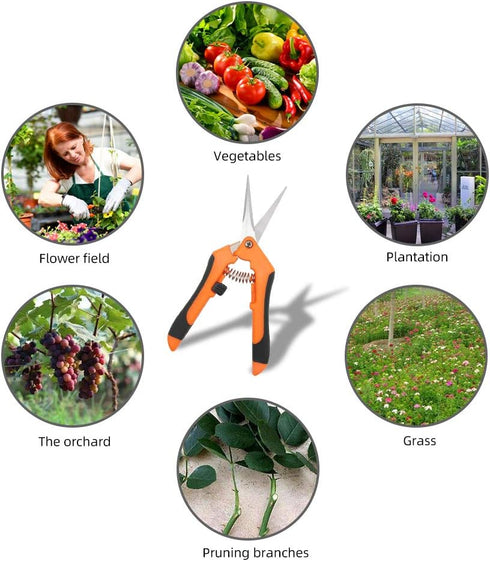 Pruning Shears 6.5 Inch,Gardening Hand Pruner Pruning,Straight Stainless Steel Scissors,Orange...