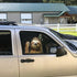 Sloth Automotive Decals Car Window Cling Funny Car Sticker Animal Window Decal for Vehicles...