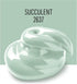 FolkArt Paint, Succulent 2 Fl Oz...