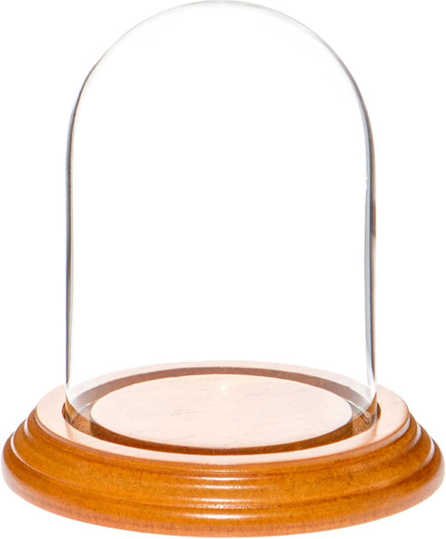 Plymor 3" x 4" Glass Display Dome Cloche (Oak Veneer Base)...
