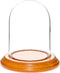 Plymor 3" x 4" Glass Display Dome Cloche (Oak Veneer Base)...