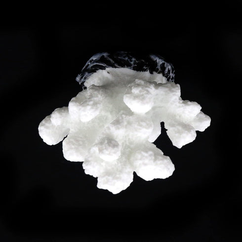 Semetall Sea Coral Sculpture, 2Pcs White Resin Aquarium Ornaments for Fish Tank Decorations...